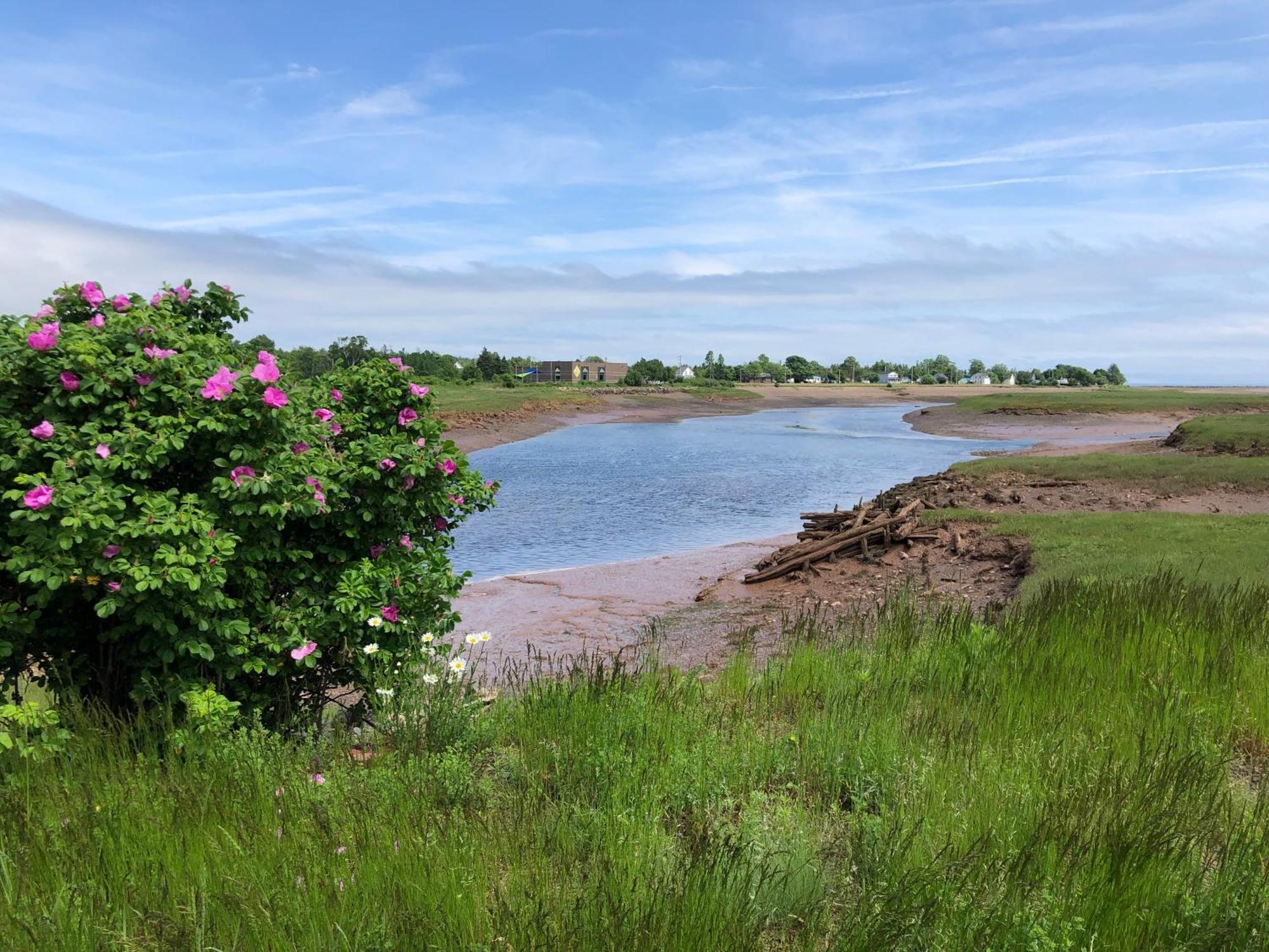 Pleasant Street Inn Parrsboro Εξωτερικό φωτογραφία