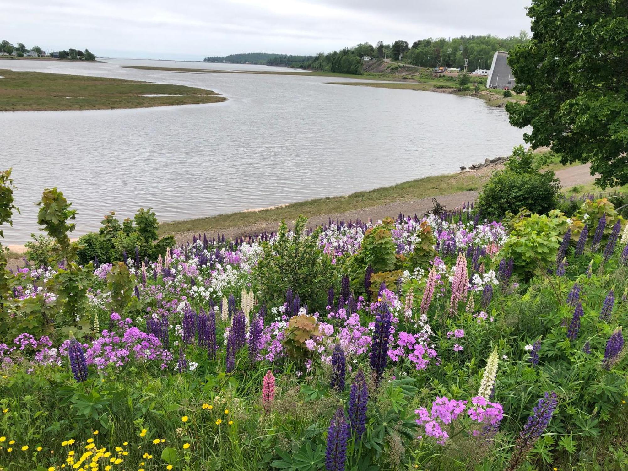 Pleasant Street Inn Parrsboro Εξωτερικό φωτογραφία
